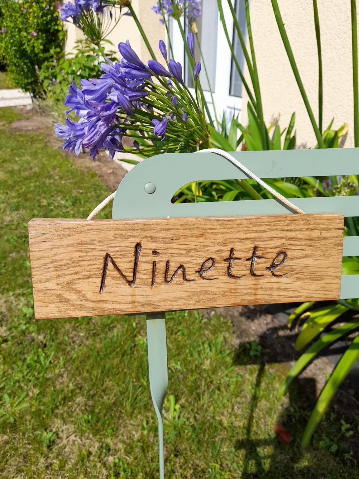 Maison De Vacances Ninette Névez エクステリア 写真